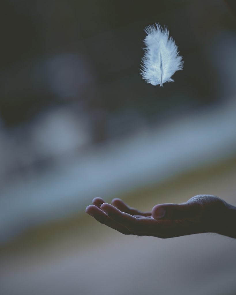 feather floating above hand