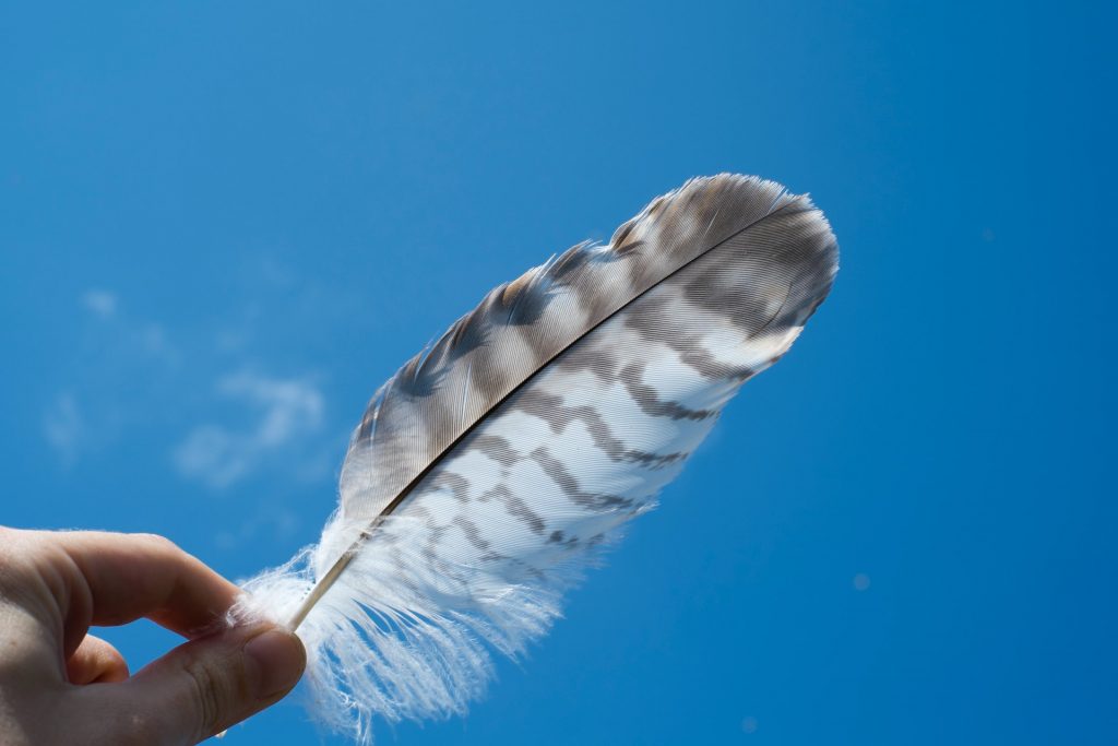 closeup of hand holding a feather against blue sky